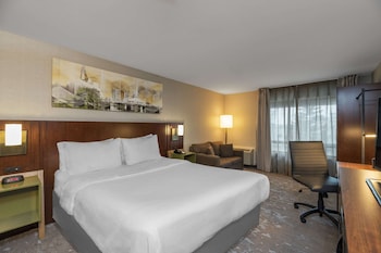 Room, 1 King Bed