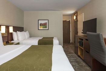 Room, 2 Queen Beds