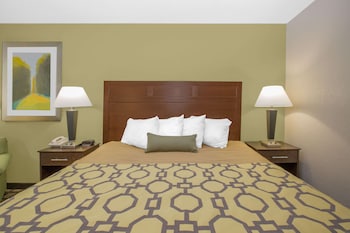 Room, 1 King Bed, Accessible, Non Smoking (Mobility)