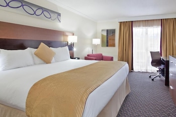 Room, 1 King Bed, Non Smoking