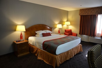 Room, 1 King Bed, Non Smoking