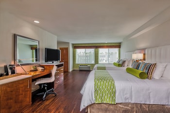 Family Studio Suite, Multiple Beds