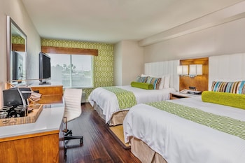 Suite, 1 Bedroom