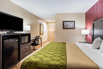 Room, 1 King Bed with Sofa bed, Accessible, Non Smoking (Accessible Tub)
