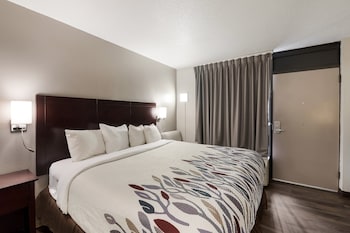 Deluxe Room, 1 King Bed, Non Smoking