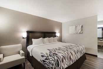 Superior Room, 1 King Bed, Non Smoking