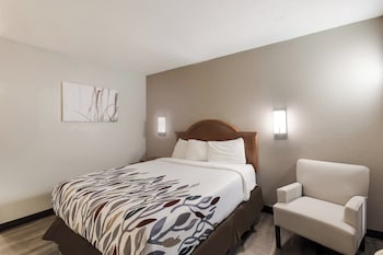 Deluxe Room, 1 Queen Bed, Non Smoking