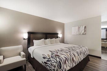 Deluxe Room, 1 King Bed, Non Smoking