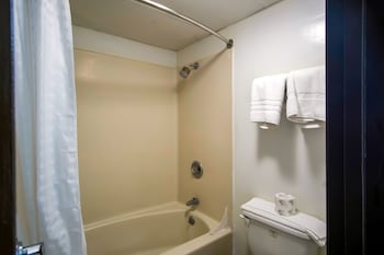 Room, 1 King Bed