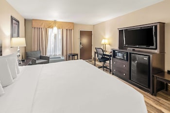 Standard Room, 1 King Bed, Non Smoking, Refrigerator & Microwave (Pet Friendly)