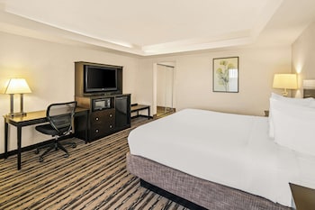 Standard Room, 1 King Bed, Non Smoking, Refrigerator & Microwave
