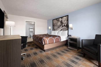Room, 1 King Bed, Accessible, Non Smoking (Mobility Accessible)