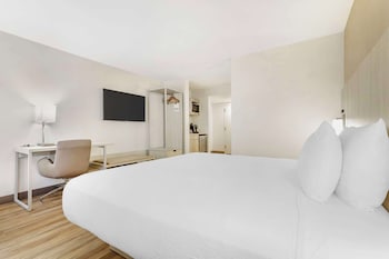 Suite, 1 King Bed, Non Smoking, Refrigerator & Microwave (with Sofabed)