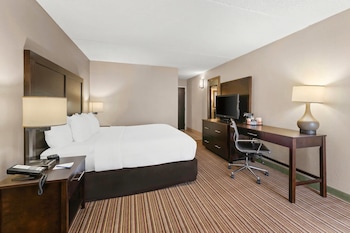 Standard Room, 1 King Bed, Non Smoking