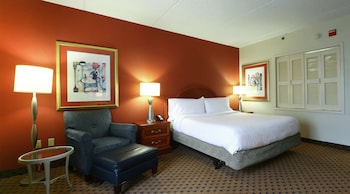 Room, 1 King Bed
