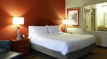 Room, 1 King Bed