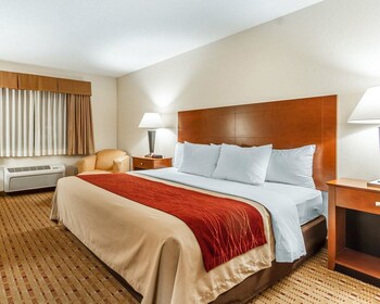 Standard Room, 1 King Bed, Non Smoking