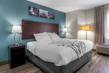 Room, 1 King Bed, Accessible, Non Smoking