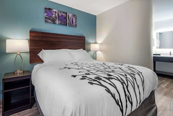 Standard Room, 1 Queen Bed, Non Smoking