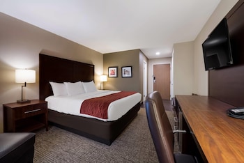 Standard Room, 1 King Bed, Non Smoking