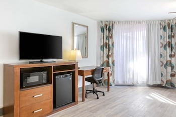 Standard Room, 1 King Bed, Refrigerator & Microwave (Larger Room;with Sofabed)