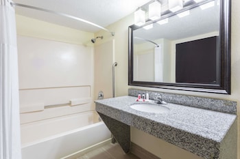 Suite, 1 King Bed, Refrigerator & Microwave