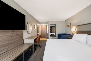 Standard Room, 1 King Bed with Sofa bed (With Sofa Bed)