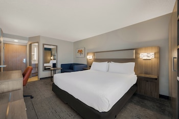 Standard Room, 1 King Bed with Sofa bed (With Sofa Bed)