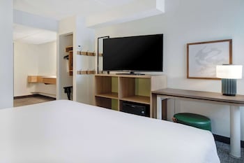 Room, 1 King Bed, Accessible, Bathtub (Mobility & Hearing)