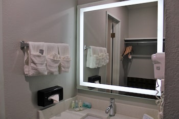 Basic Single Room