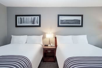 Standard Twin Room, 2 Double Beds