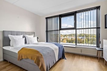 Standard Room, 1 King Bed, Non Smoking, Kitchen (with Sofabed)