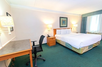 Room, 1 King Bed, Accessible, Non Smoking (Tub with Grab Bars)
