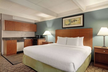 Room, 1 King Bed, Non Smoking, Kitchenette