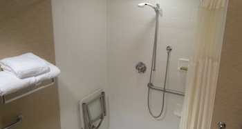 One King Bed, Accessible, Roll In Shower