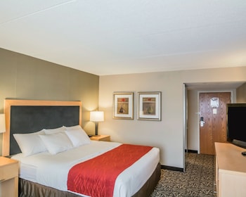 Standard Room, 1 King Bed, Non Smoking
