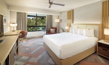 Room, 1 King Bed, Accessible (Shower)
