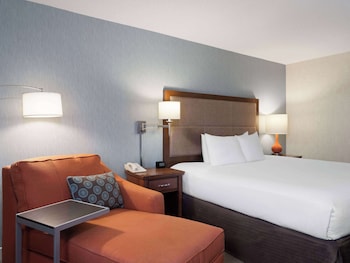 Room, 1 King Bed, Non Smoking
