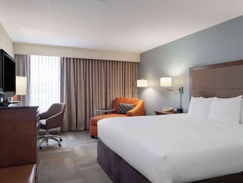Room, 1 King Bed, Non Smoking