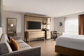 Suite, 1 King Bed with Sofa bed