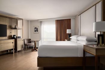 Suite, 1 King Bed with Sofa bed