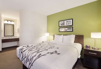 Room, 1 Queen Bed, Non Smoking