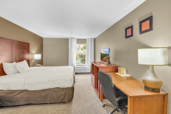 premium wheelchair king room