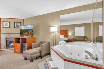 Standard Studio Suite