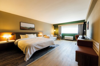 Room, 1 King Bed with Sofa bed