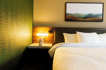 Room, 1 King Bed with Sofa bed