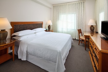 Room, 1 Queen Bed (No View)