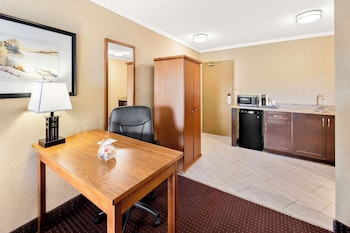 Suite, 1 King Bed, Non Smoking, Refrigerator & Microwave (with Sofabed)