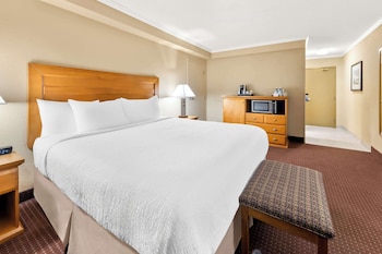 Suite, 1 King Bed, Non Smoking, Fireplace (with Sofabed)