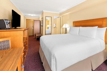 Standard Room, 1 Queen Bed, Non Smoking, Refrigerator
